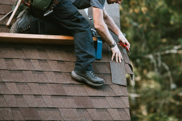 Best Roof Gutter Cleaning  in La Vergne, TN
