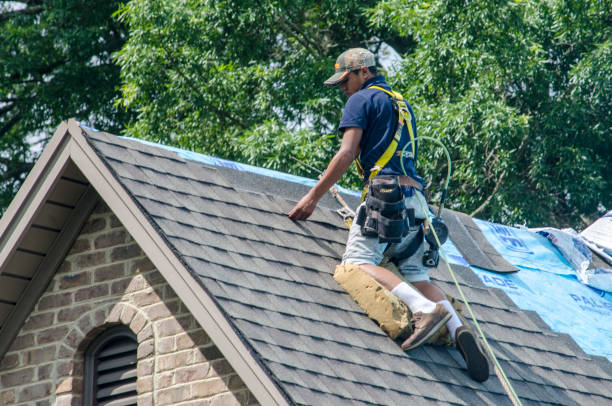 Best New Roof Installation  in La Vergne, TN